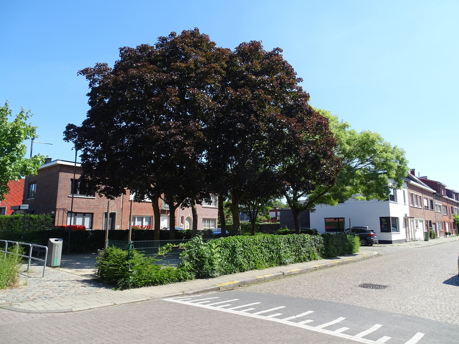 Bestaande toestand van het centrale pleintje in de Sterrenlaan